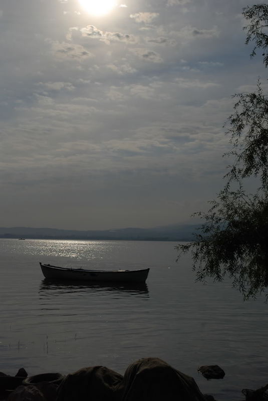 DSC_0186.jpg