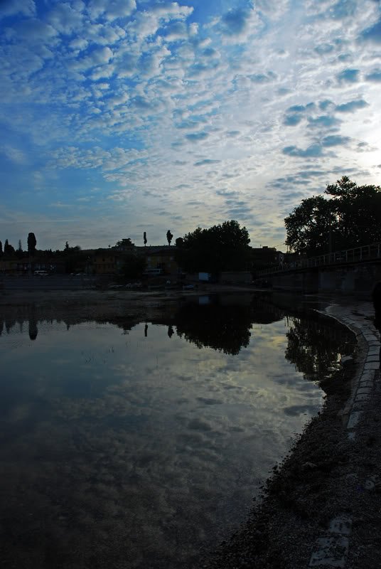 DSC_0186.jpg