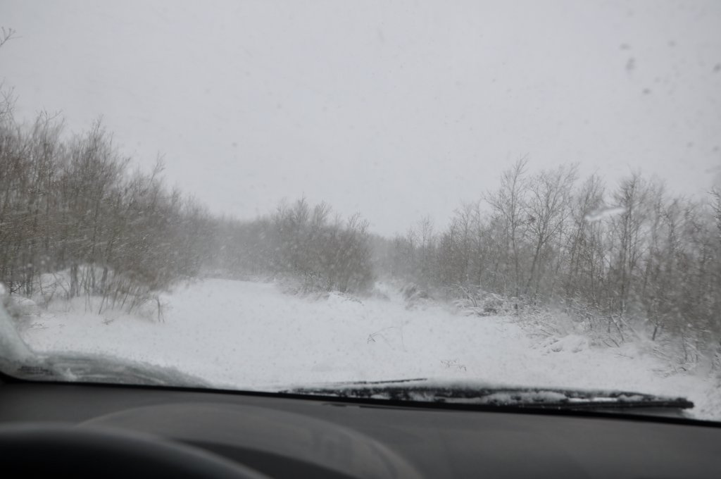 DSC_0187.JPG