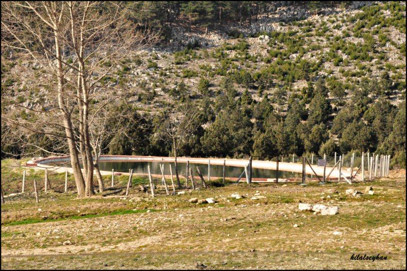 DSC_0188 [800x600].jpg