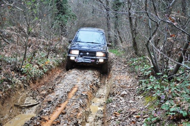 DSC_0195.jpg