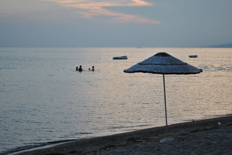 DSC_0196.jpg