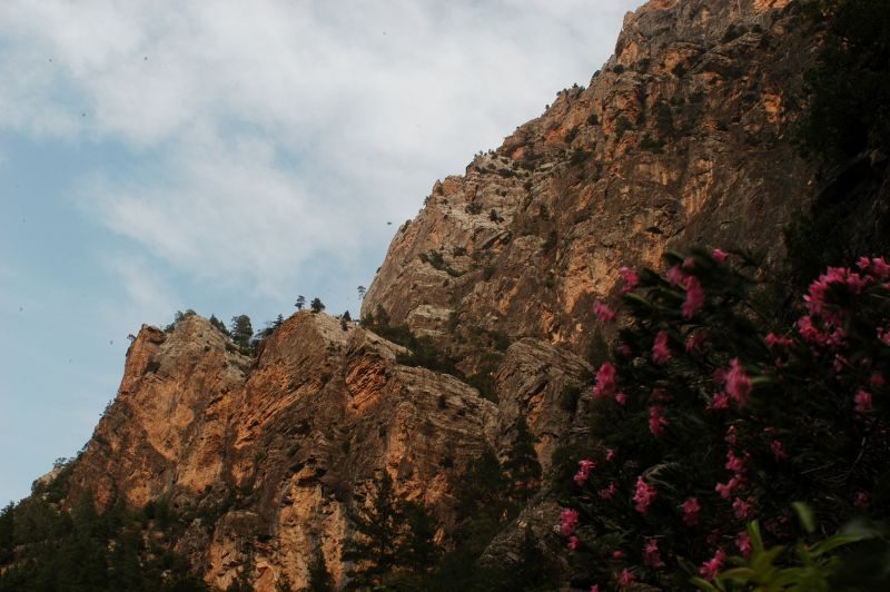 DSC_0197.jpg