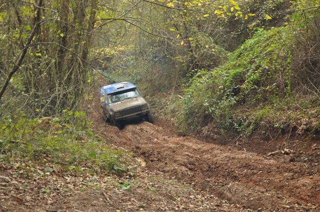 DSC_0198.jpg