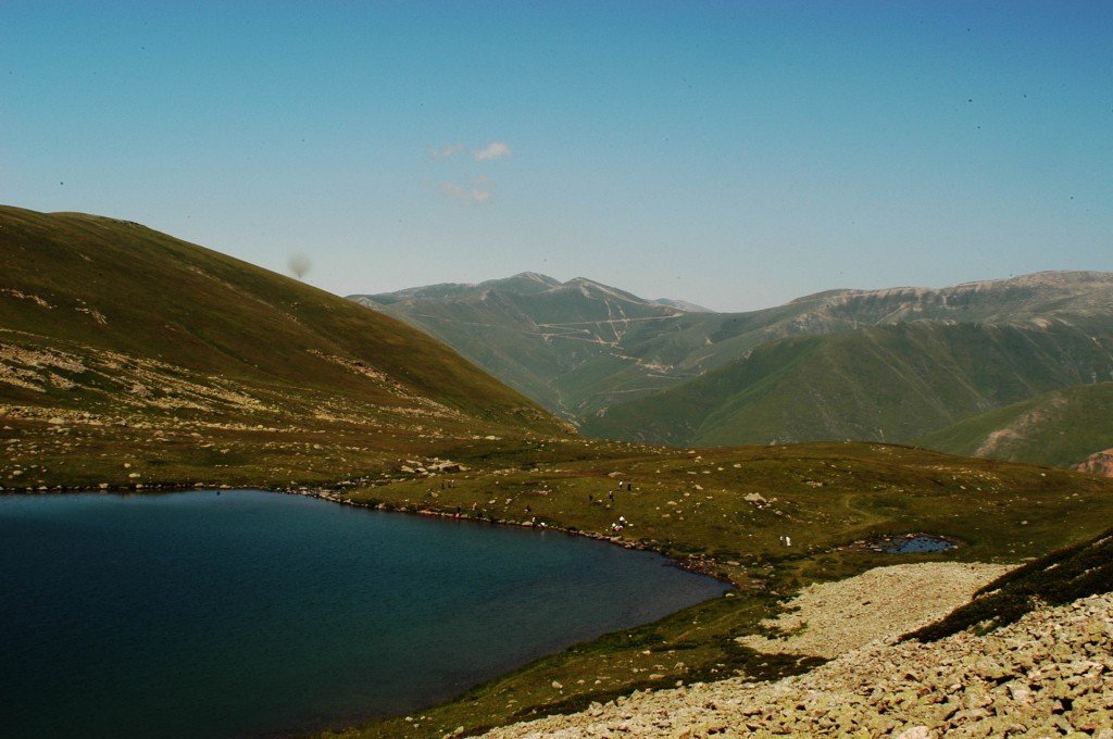 DSC_0199.jpg