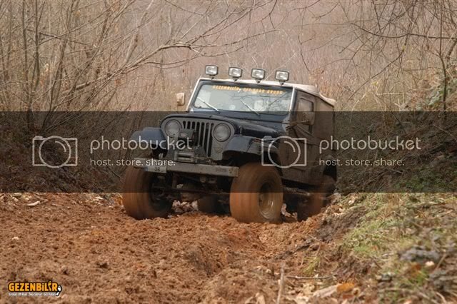 DSC_0199.jpg