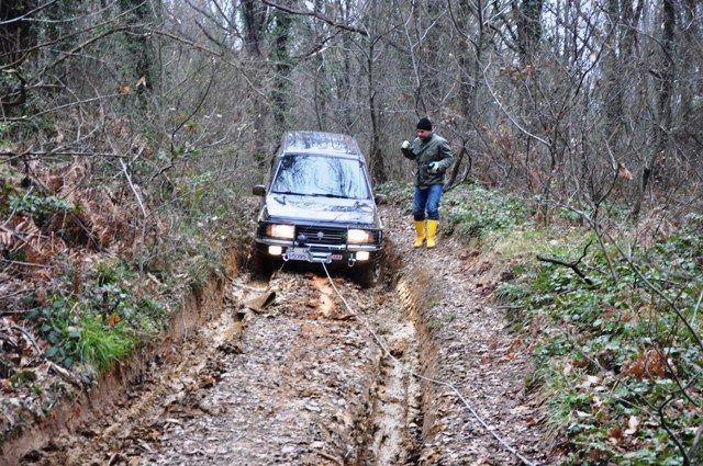 DSC_0200.jpg