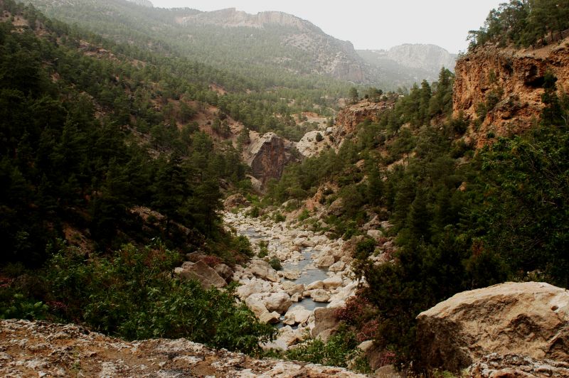 DSC_0200.jpg