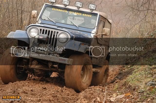 DSC_0201-1.jpg