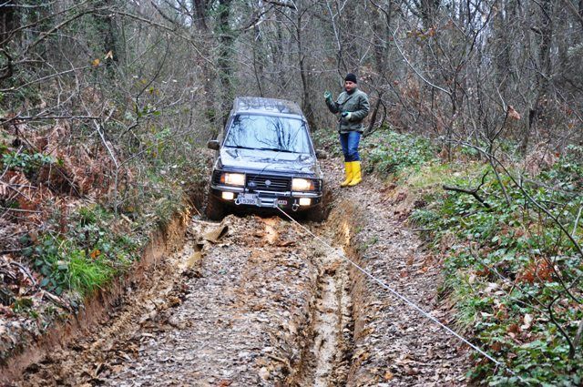 DSC_0201.jpg