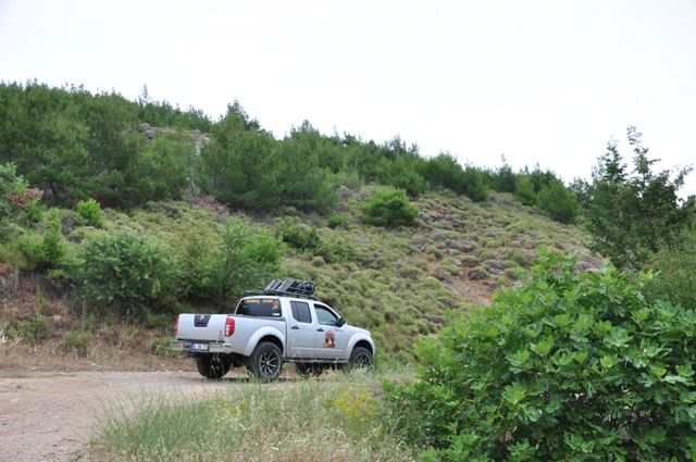 DSC_0203.jpg
