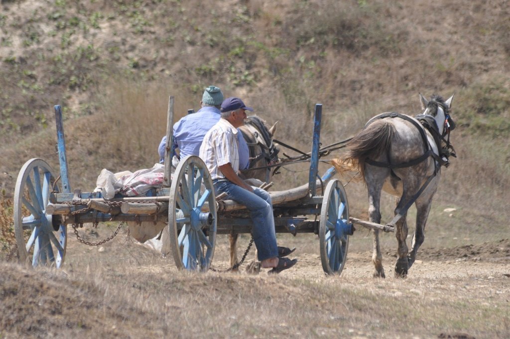 DSC_0203.jpg