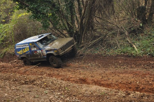 DSC_0205.jpg