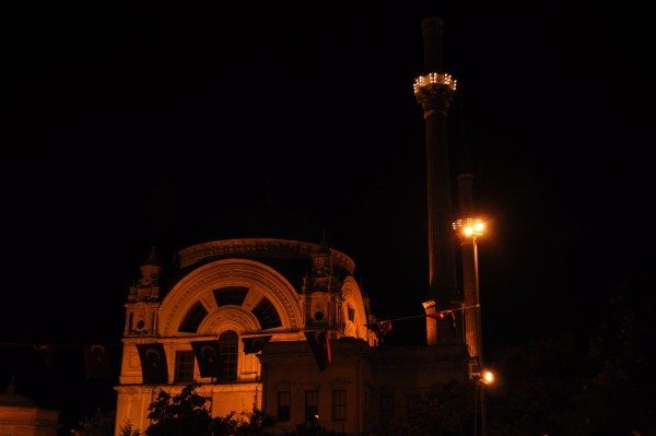 DSC_0207 (600 x 399).jpg