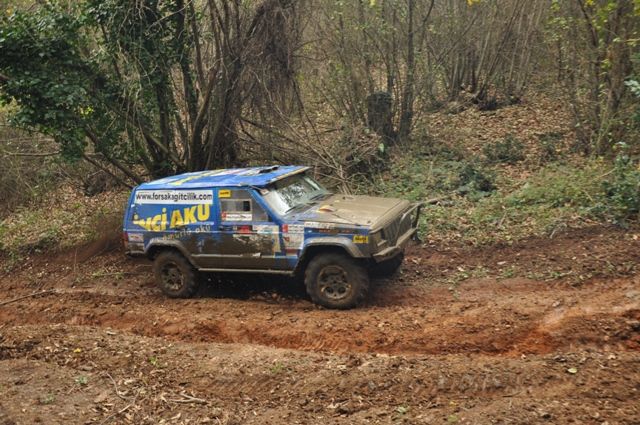 DSC_0207.jpg