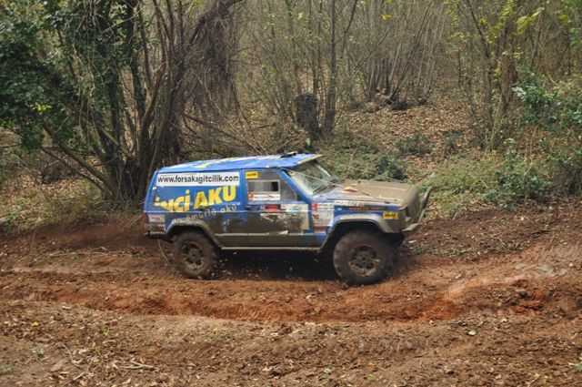 DSC_0208.jpg