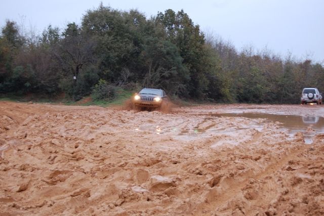 DSC_0211.jpg