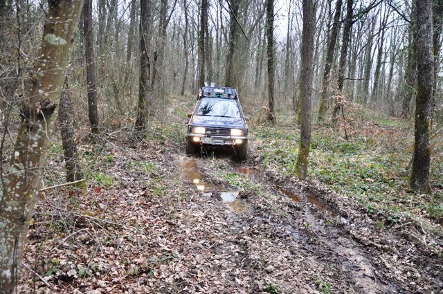 DSC_0216.jpg