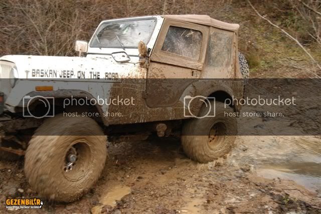 DSC_0218-1.jpg