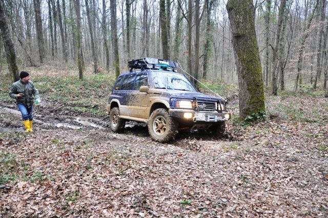 DSC_0219.jpg