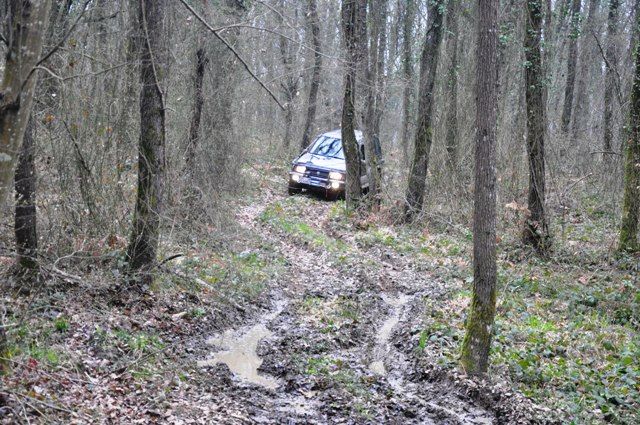 DSC_0223.jpg