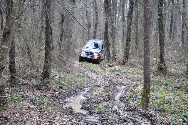 DSC_0224.jpg