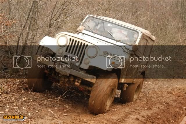DSC_0229.jpg