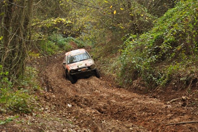 DSC_0230.jpg