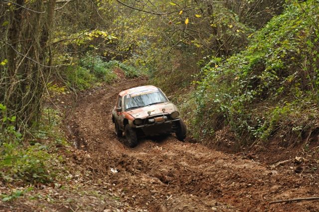 DSC_0231.jpg