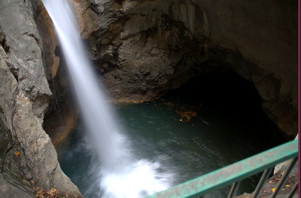 DSC_0231.jpg