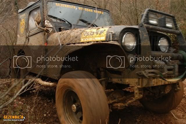 DSC_0231.jpg