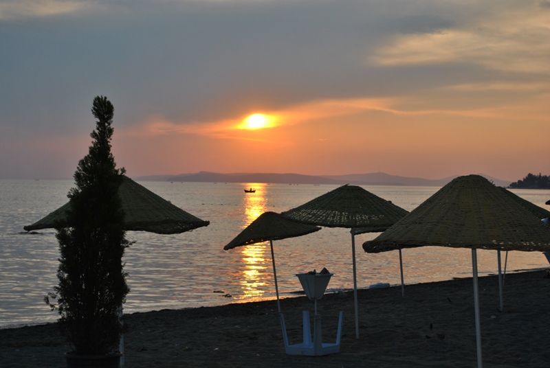 DSC_0232.jpg