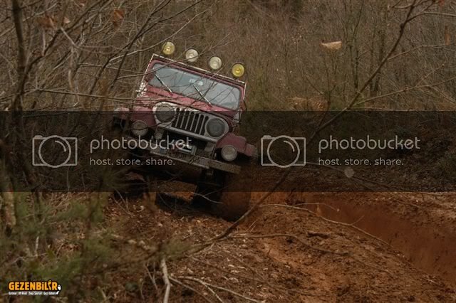 DSC_0235.jpg