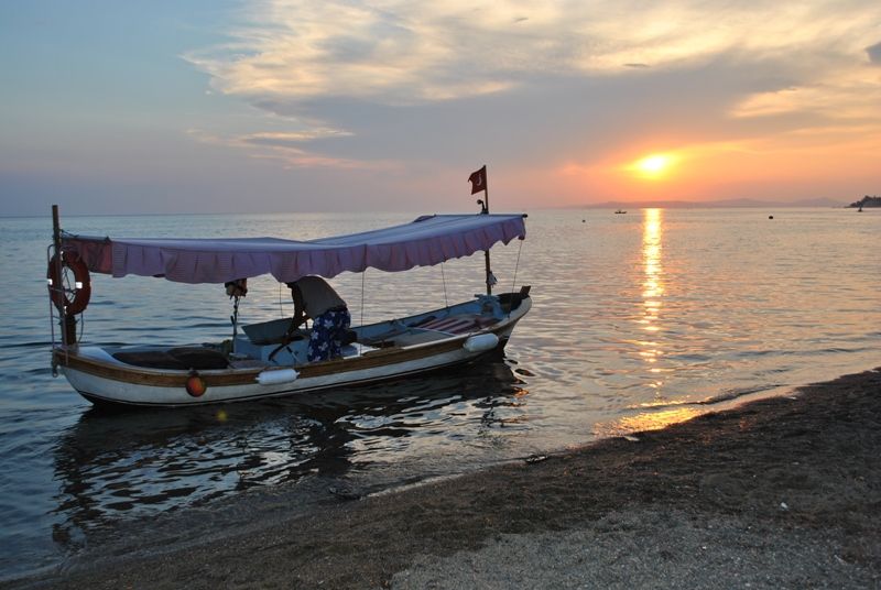 DSC_0236.jpg