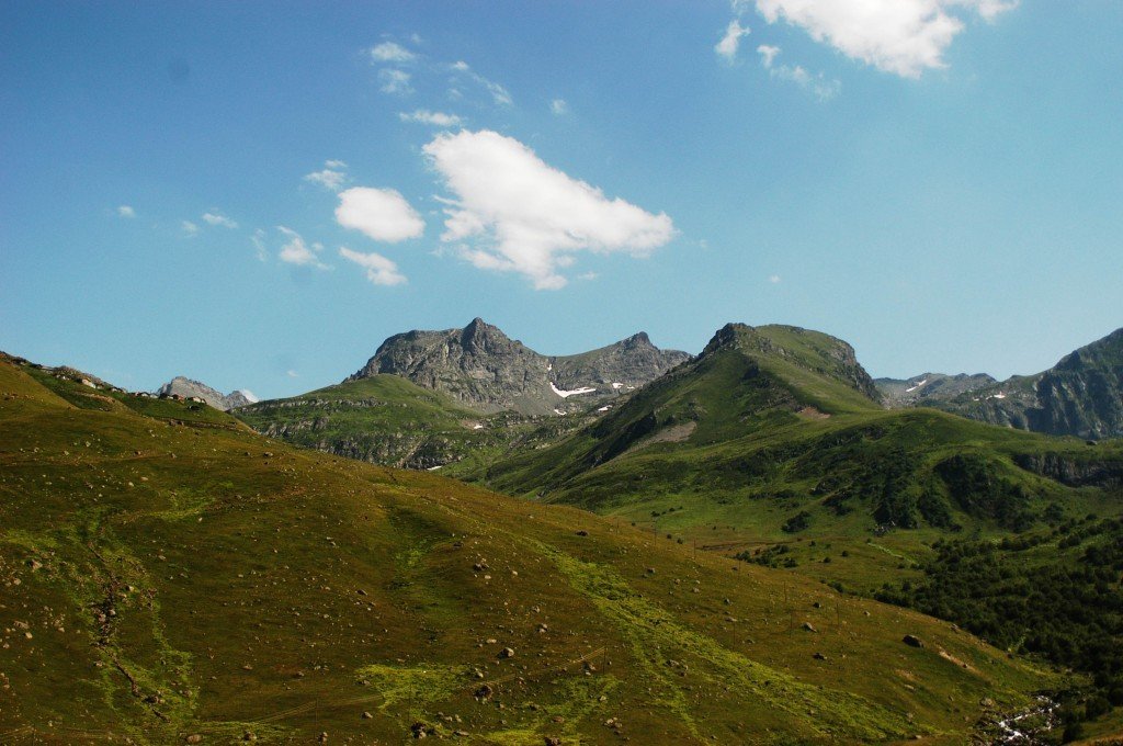 DSC_0239.jpg