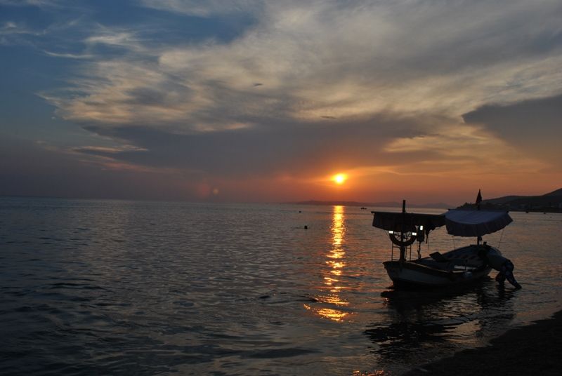 DSC_0240.jpg