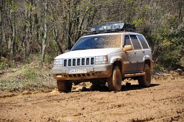 DSC_0242.jpg