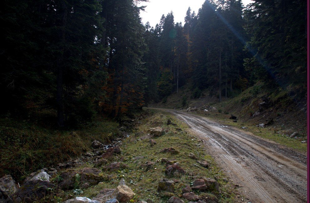 DSC_0243.jpg