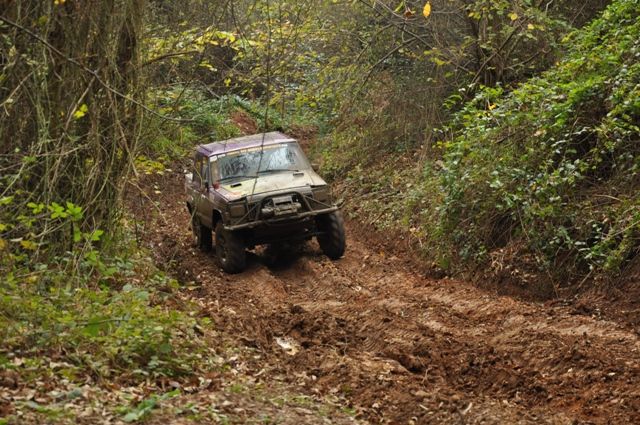 DSC_0245.jpg