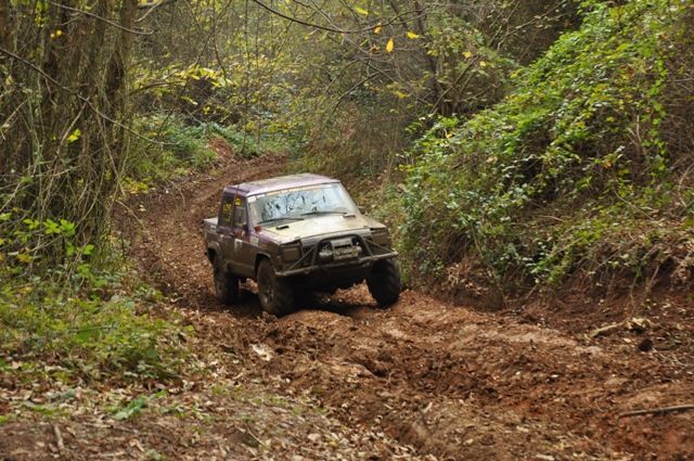 DSC_0246.jpg