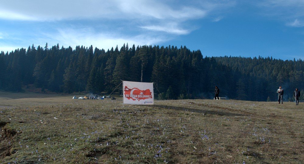 DSC_0246.jpg