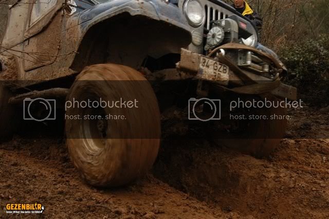 DSC_0246.jpg