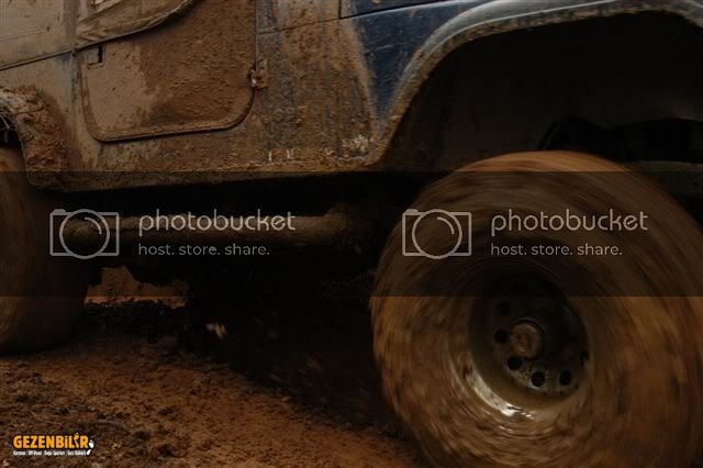DSC_0247.jpg
