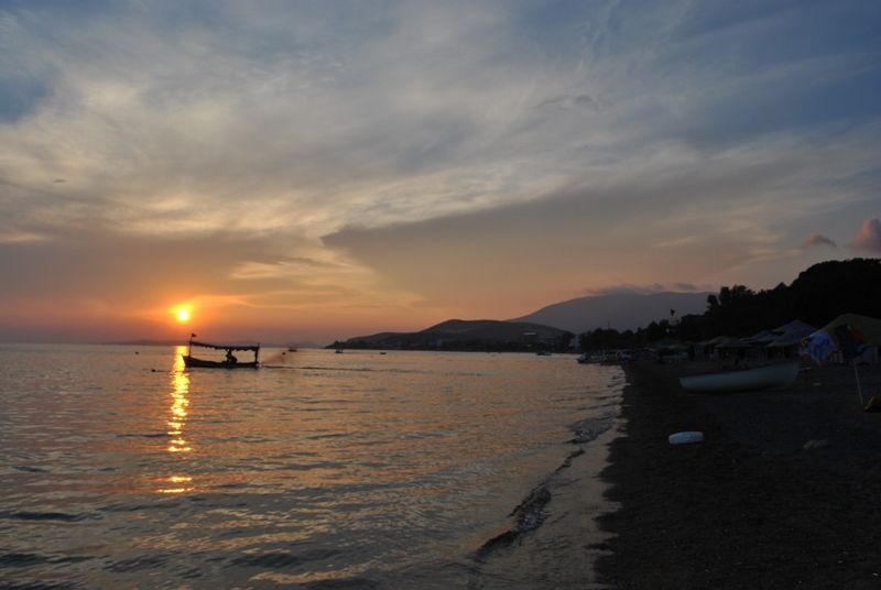 DSC_0250.jpg