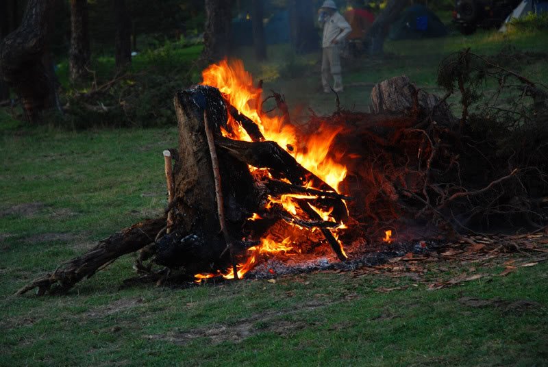 DSC_0253.jpg