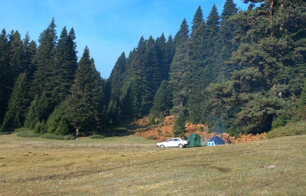 DSC_0257.jpg