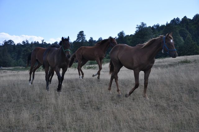 DSC_0257.jpg