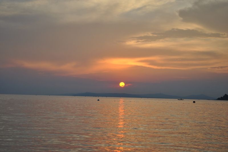 DSC_0259.jpg