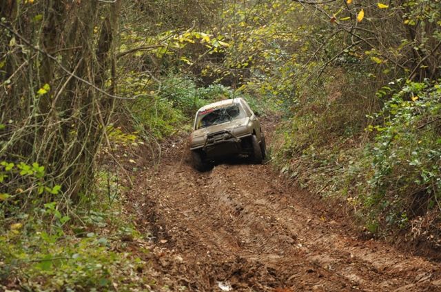 DSC_0261.jpg
