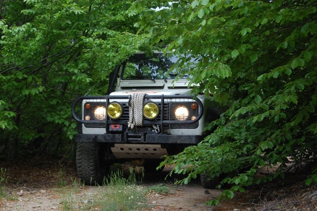 DSC_0263.jpg